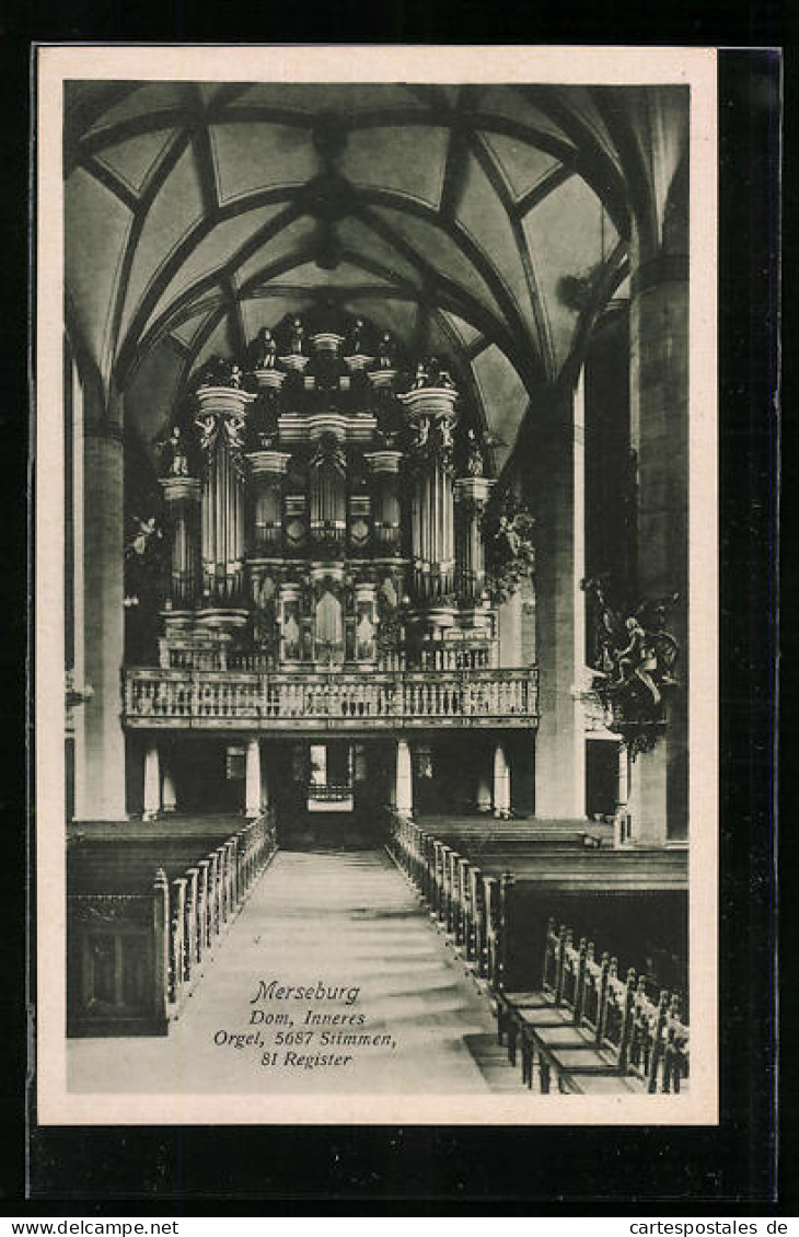 AK Merseburg, Dom, Inneres Mit Orgel  - Merseburg