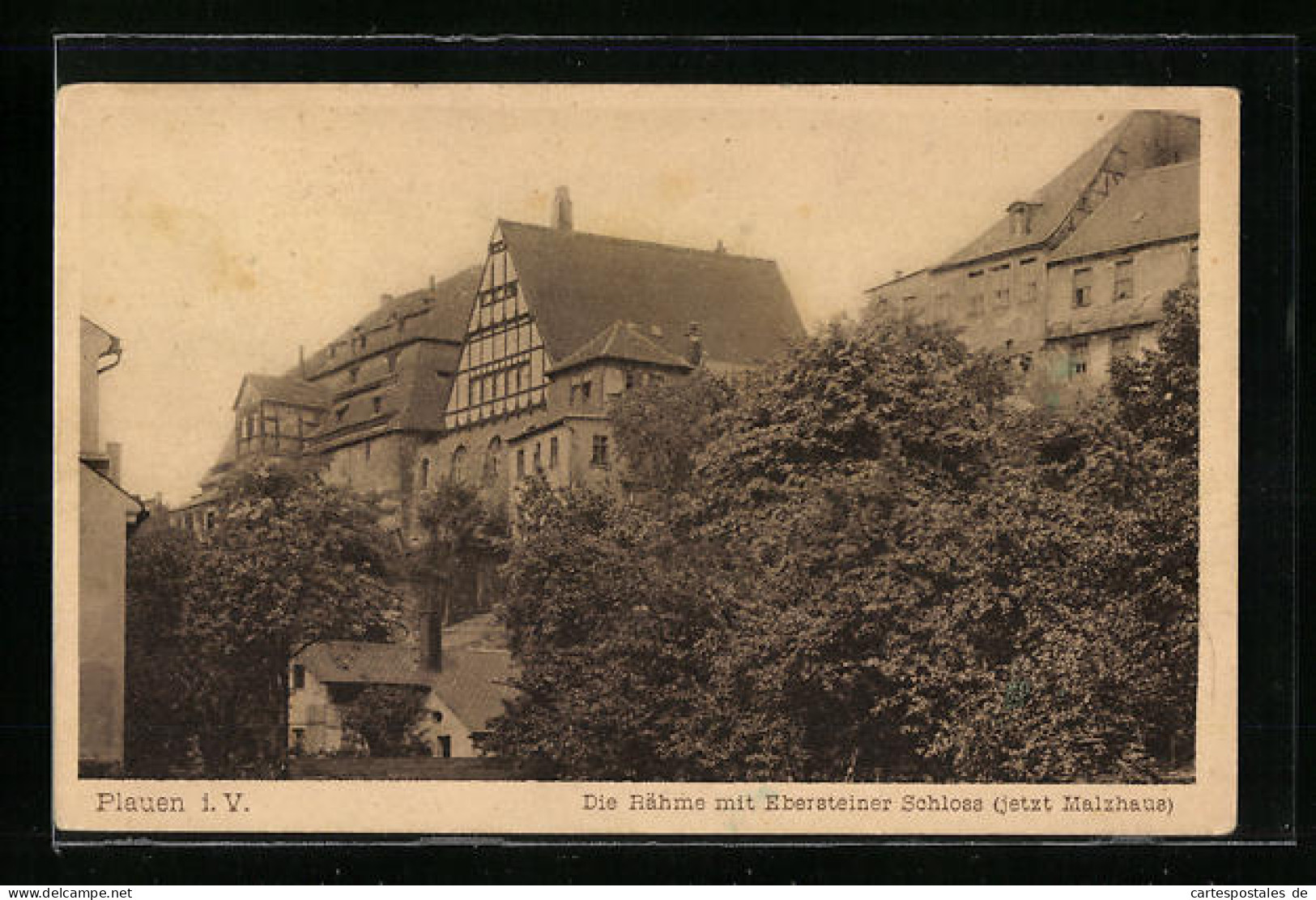 AK Plauen I. V., Rähme Mit Ebersteiner Schloss / Malzhaus  - Plauen