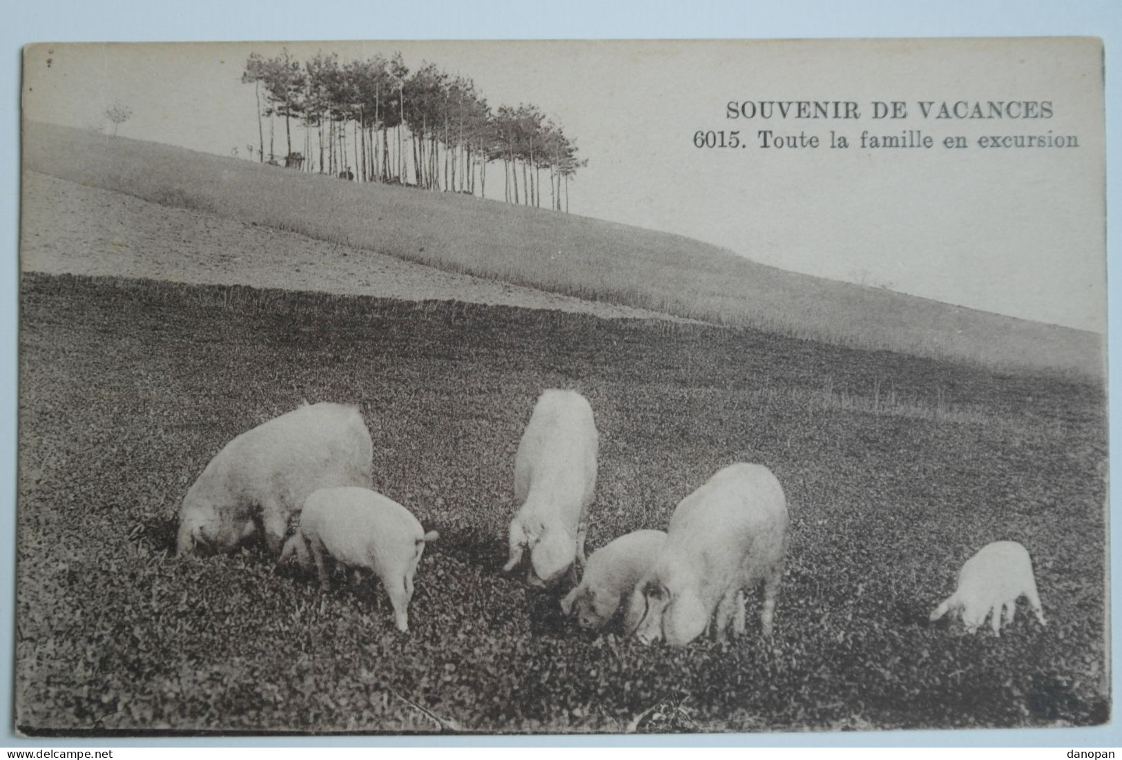 Lot 20 cpa 100% France - Animées, cartes rares. Belles cartes, toutes en photo, pas de mauvaises surprises - BL91