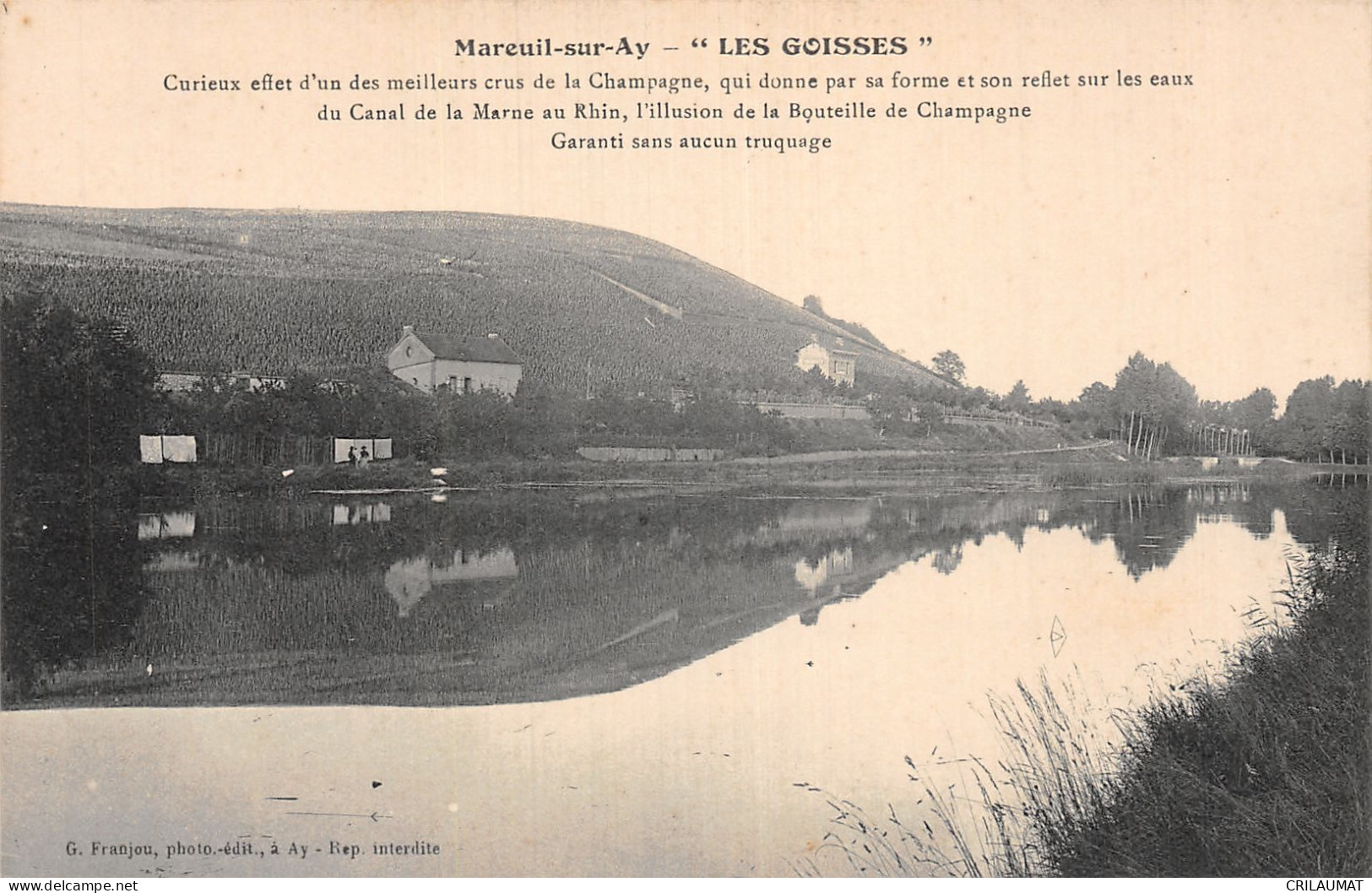 51-MAREUIL SUR AY-N°LP2995-B/0353 - Mareuil-sur-Ay