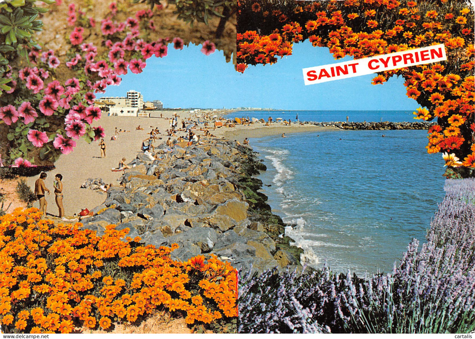 66-SAINT CYPRIEN PLAGE-N°3748-A/0321 - Saint Cyprien