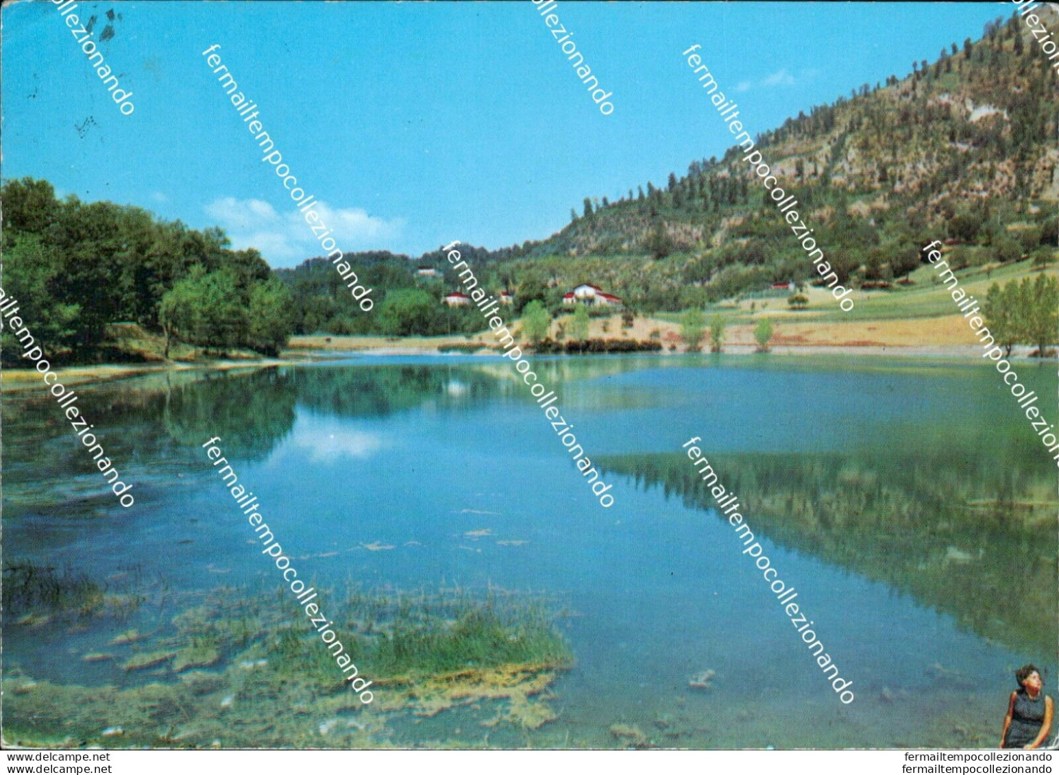 Bl463 Cartolina Lago Sirino Nemoli Provincia Di Potenza - Potenza