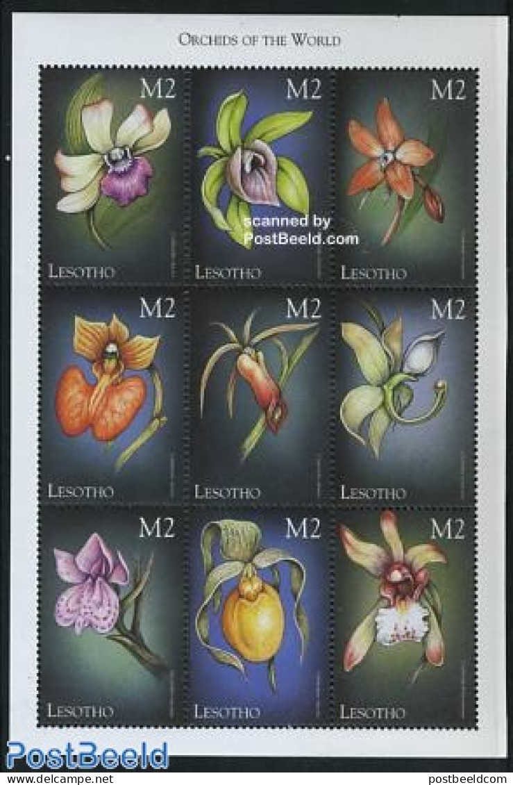 Lesotho 1999 Orchids 9v M/s, Cochleantthes Discolor, Mint NH, Nature - Flowers & Plants - Orchids - Lesotho (1966-...)