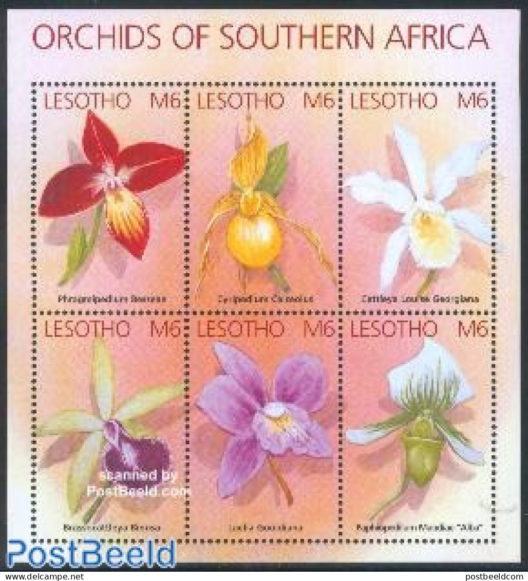Lesotho 2002 Orchids 6v M/s, Mint NH, Nature - Flowers & Plants - Orchids - Lesotho (1966-...)