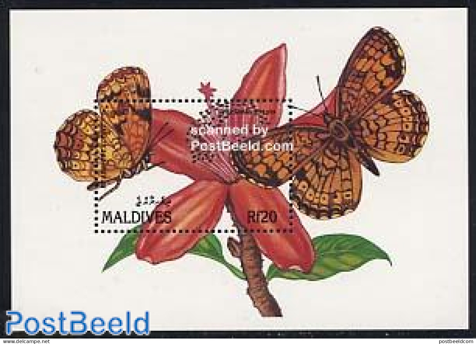 Maldives 1991 Phyclodes Tharos S/s, Mint NH, Nature - Butterflies - Flowers & Plants - Maldives (1965-...)