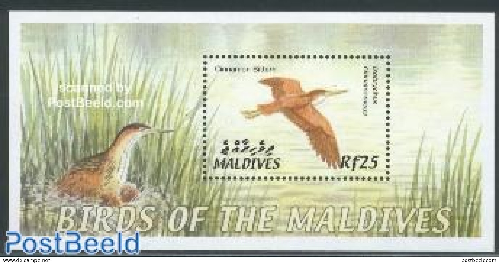 Maldives 2002 Cinnamon Bittern S/s, Mint NH, Nature - Birds - Maldive (1965-...)