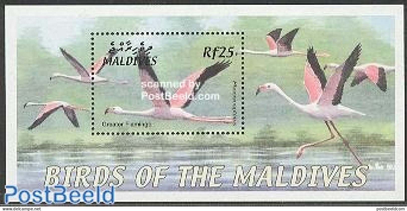 Maldives 2002 Birds S/s, Flamingo, Mint NH, Nature - Birds - Maldives (1965-...)