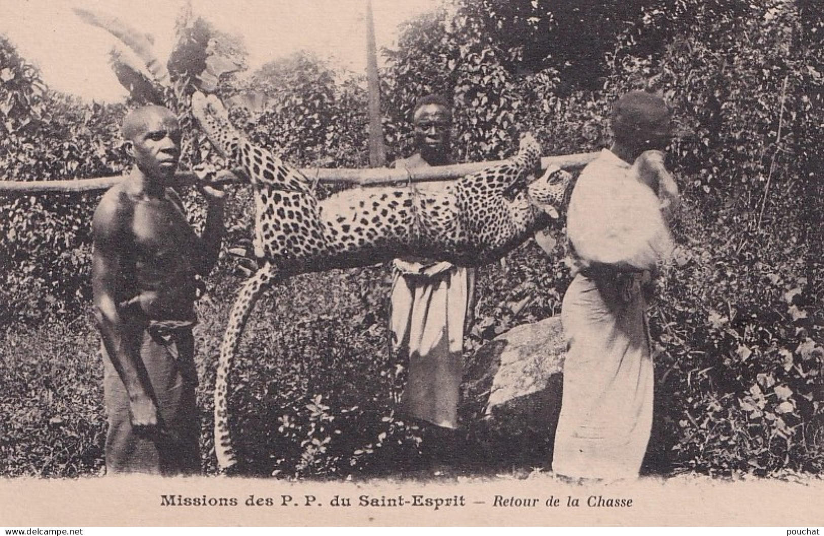 S17- AFRIQUE - MISSIONS DES P.P. DU SAINT ESPRIT - RETOUR DE LA CHASSE - ( 2 SCANS ) - Missions