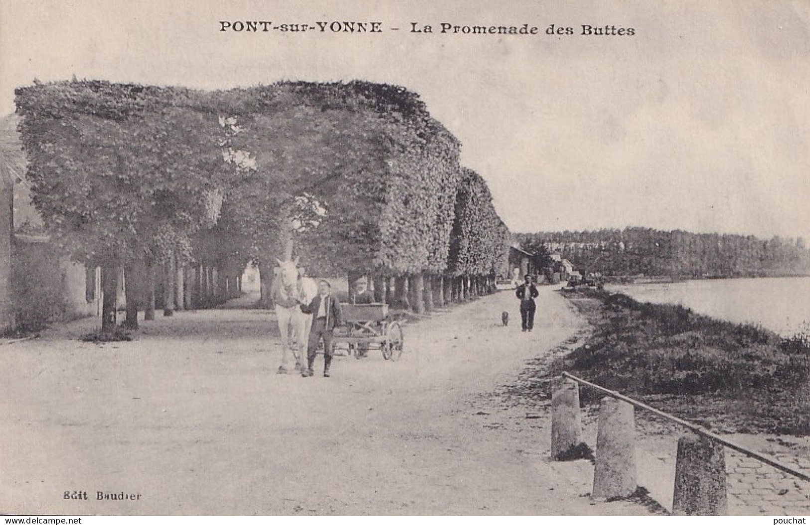 S21-89) PONT SUR YONNE - LA PROMENADE DES BUTTES - ( ANIMEE - ATTELAGE CHEVAL - 2 SCANS )  - Pont Sur Yonne