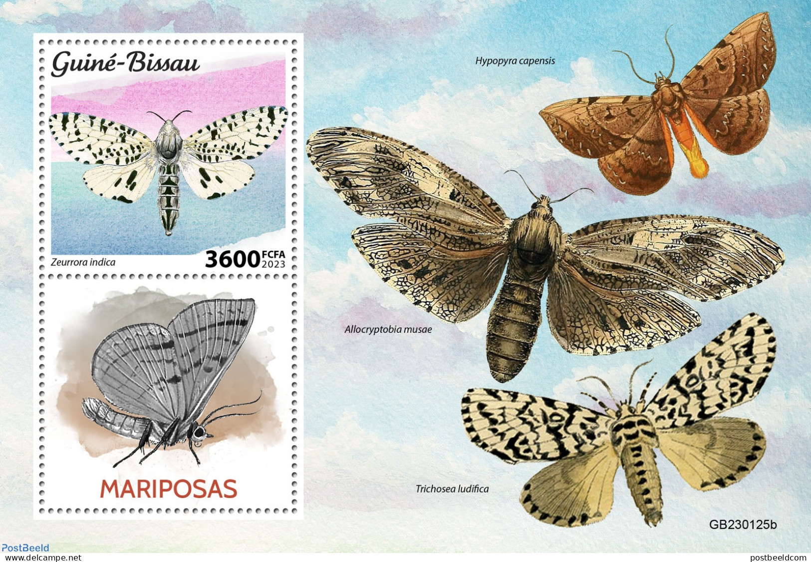 Guinea Bissau 2023 Moths, Mint NH, Nature - Insects - Guinée-Bissau