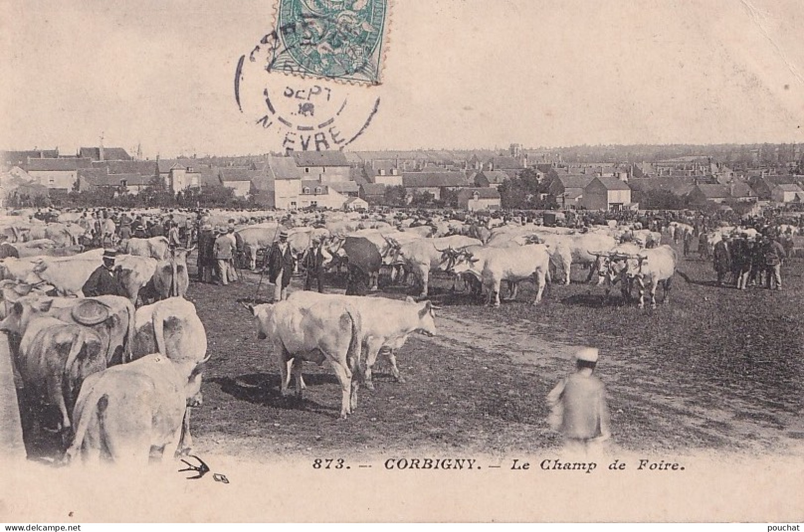 F23-58) CORBIGNY - LE CHAMP DE FOIRE - ( ANIMEE - BESTIAUX ) - Corbigny