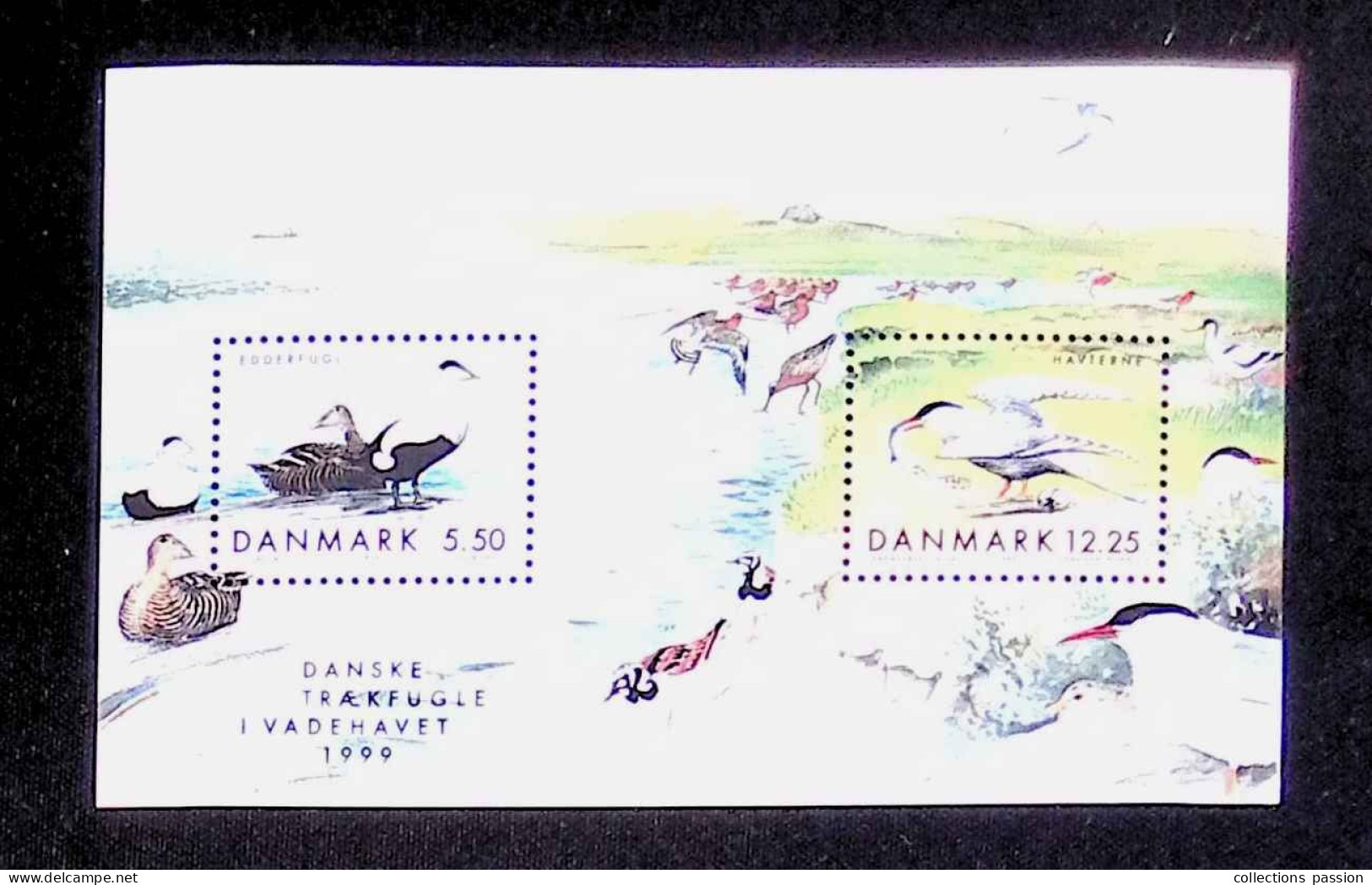 CL, Blocs-feuillets, Neuf, Block, Danmark, Danemark, 1999, Danske Traekfugle I Vadehavet, Oiseaux - Blocks & Sheetlets