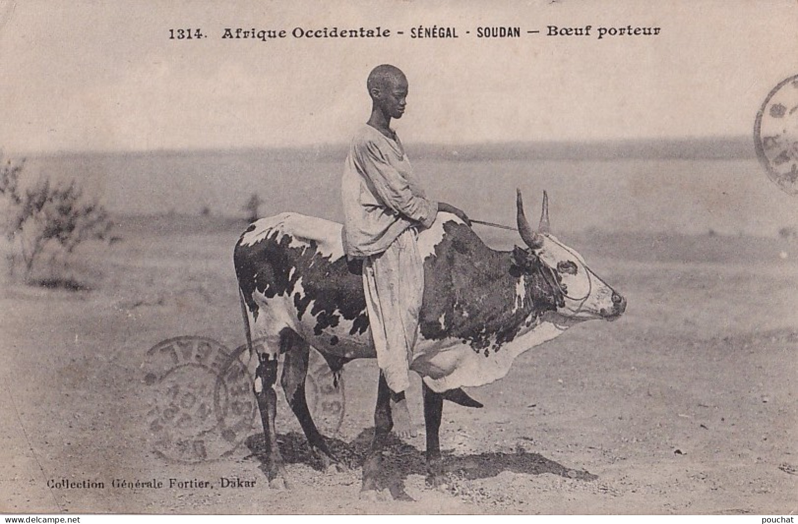 B5- AFRIQUE OCCIDENTALE - SENEGAL - SOUDAN - BOEUF PORTEUR  - ( 2 SCANS ) - Soudan