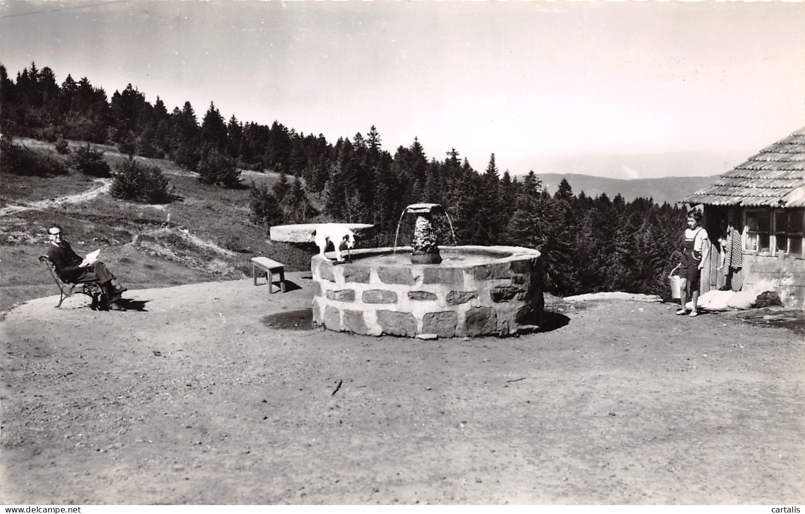 42-MONT PILAT-N°3760-E/0167 - Mont Pilat