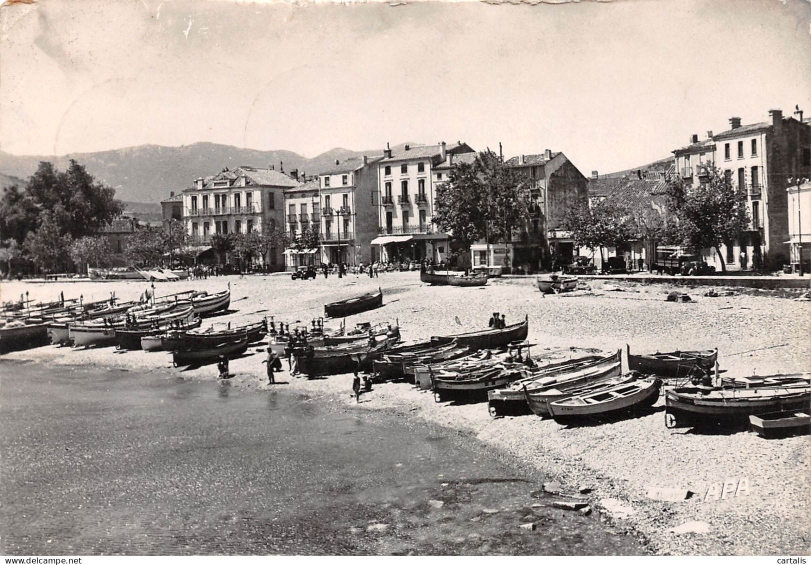 66-BANYULS-N°3761-D/0315 - Banyuls Sur Mer