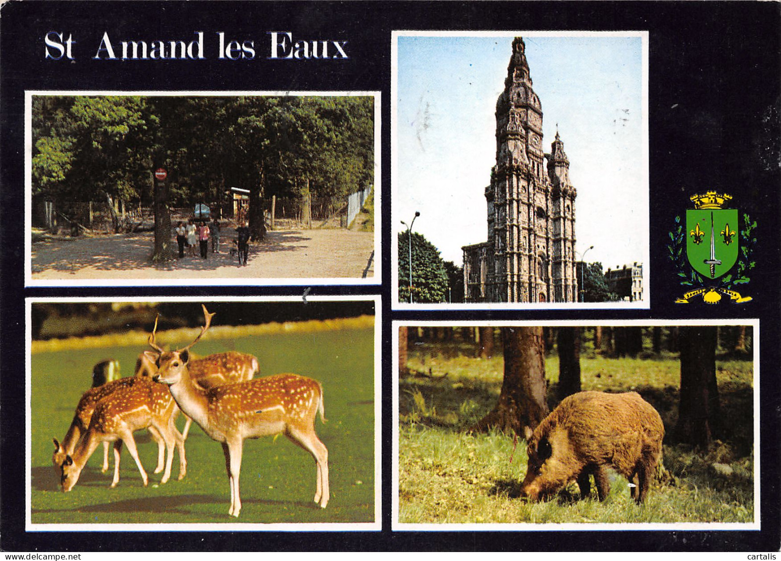 59-SAINT AMAND LES EAUX-N°3762-D/0175 - Saint Amand Les Eaux