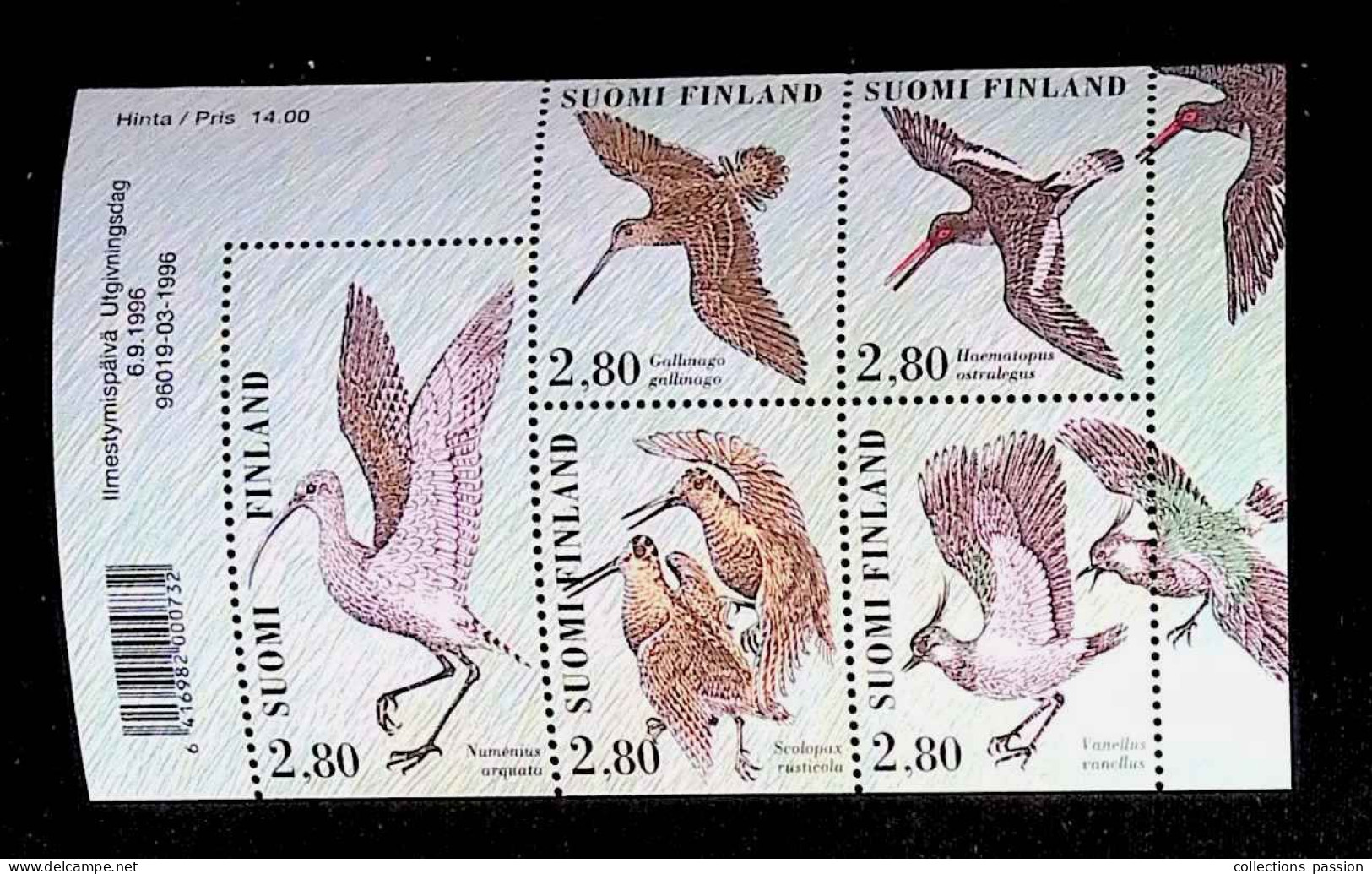 CL, Blocs-feuillets, Neuf, Block, Finland, Finlande, 6.9. 1996, Ilmestymispäivä Utgivningsdag, Oiseaux, Birds - Blocs-feuillets