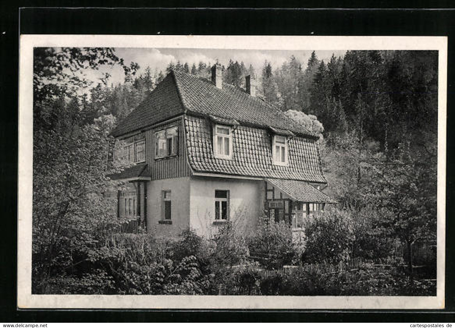 AK Altenbrak /Harz, Hotel - Pension Villa Heidecke  - Altenbrak