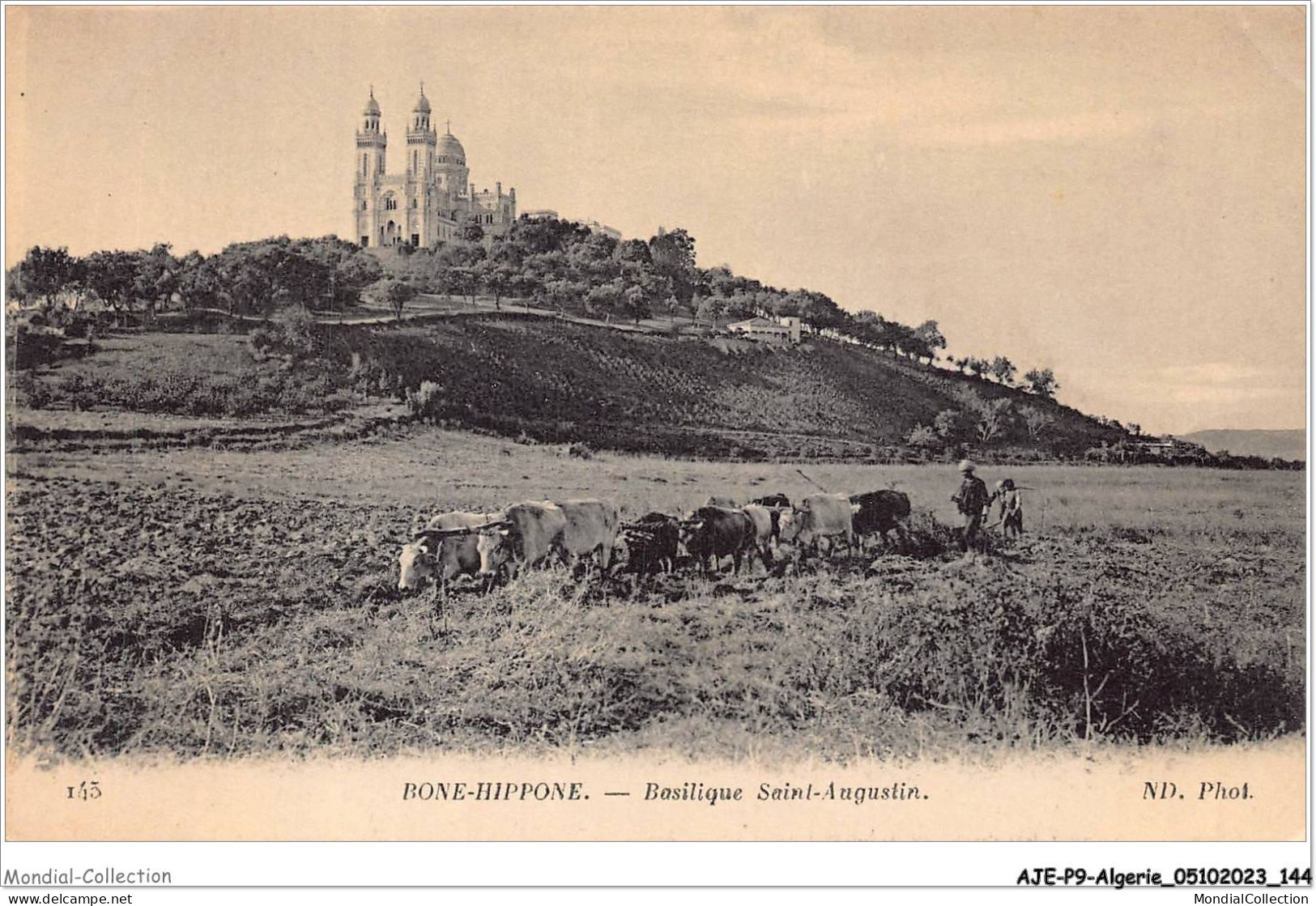 AJEP9-ALGERIE-0885 - BONE-HIPPONE - Basilique Saint-augustin - Annaba (Bône)