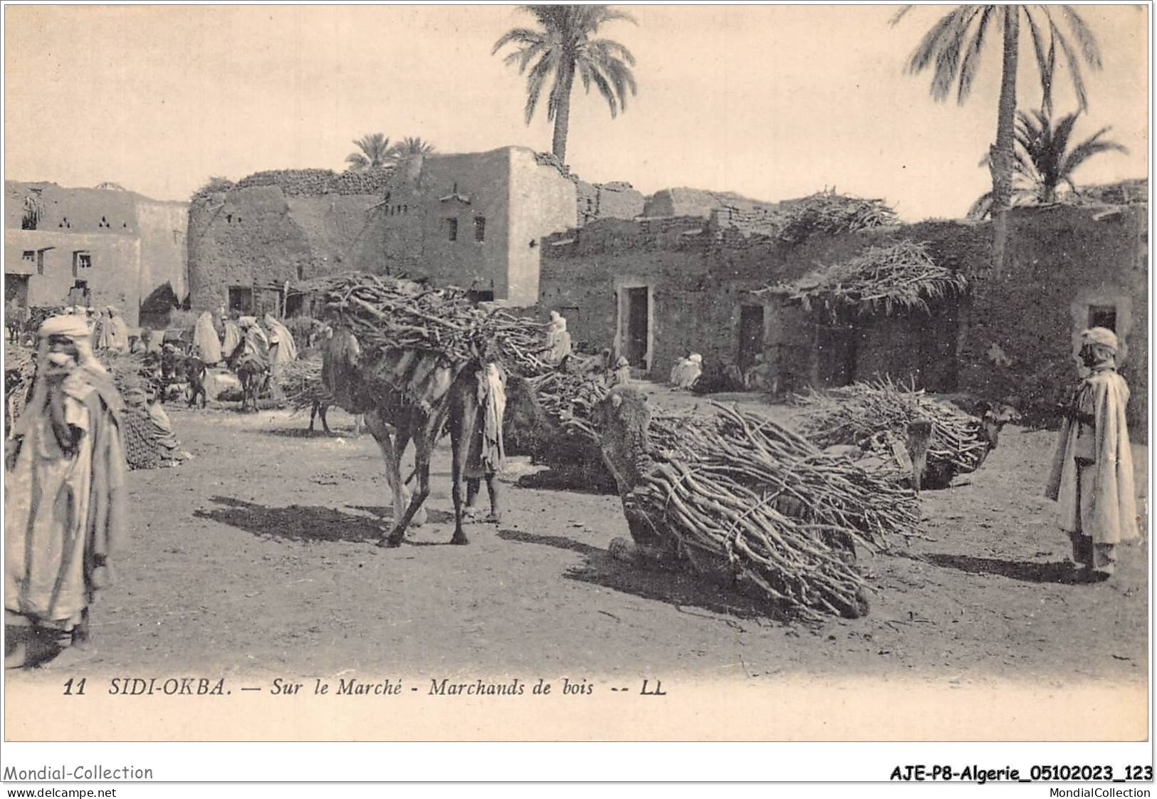 AJEP8-ALGERIE-0770 - SIDI-OKBA - Sur Le Marché - Marchands De Bois - Biskra