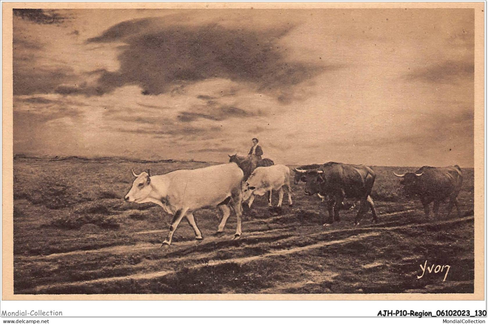 AJHP10-REGION-0867 - LES LANDES DE LA GASCOGNE - En Rase Lande - Le Retour - Aquitaine