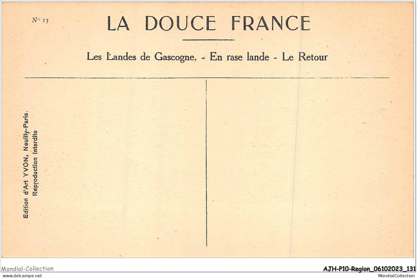 AJHP10-REGION-0867 - LES LANDES DE LA GASCOGNE - En Rase Lande - Le Retour - Aquitaine