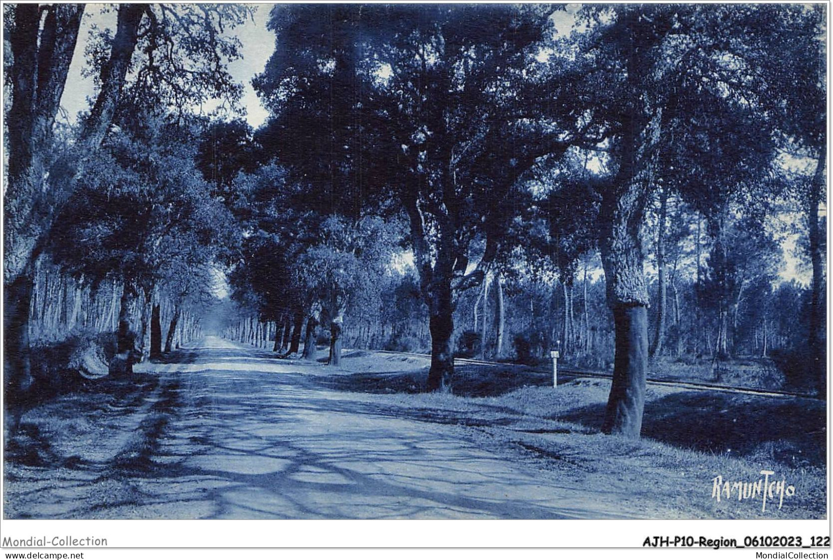 AJHP10-REGION-0863 - LE PAYS LANDAIS - Grande Route Plantée De Chênes-liège - Aquitaine