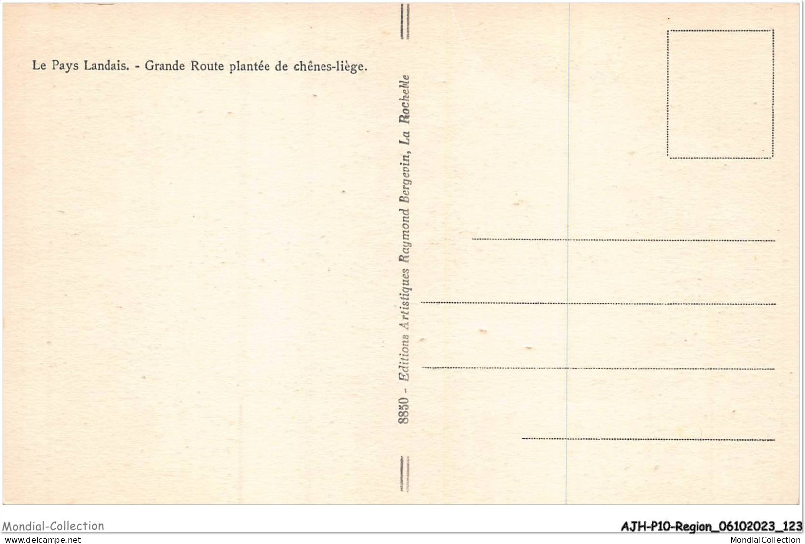 AJHP10-REGION-0863 - LE PAYS LANDAIS - Grande Route Plantée De Chênes-liège - Aquitaine