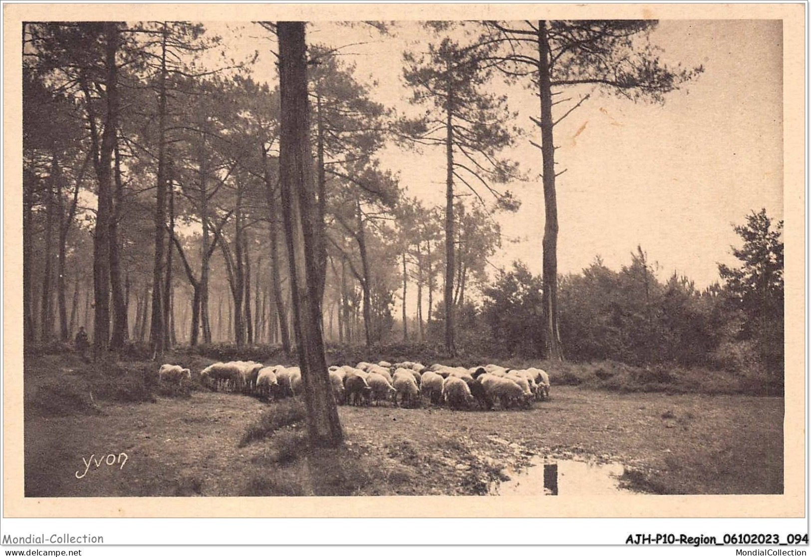 AJHP10-REGION-0849 - LES LANDES DE LA GASCOGNE - A L'orée De La Forêt Landaise - Aquitaine