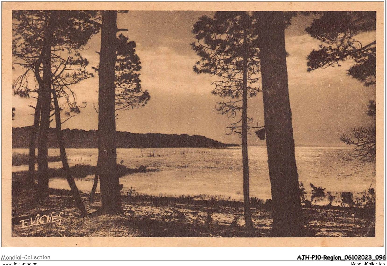 AJHP10-REGION-0850 - PAYSAGES LANDAIS - Coin D'un Lac De La Côte D'argent - Aquitaine