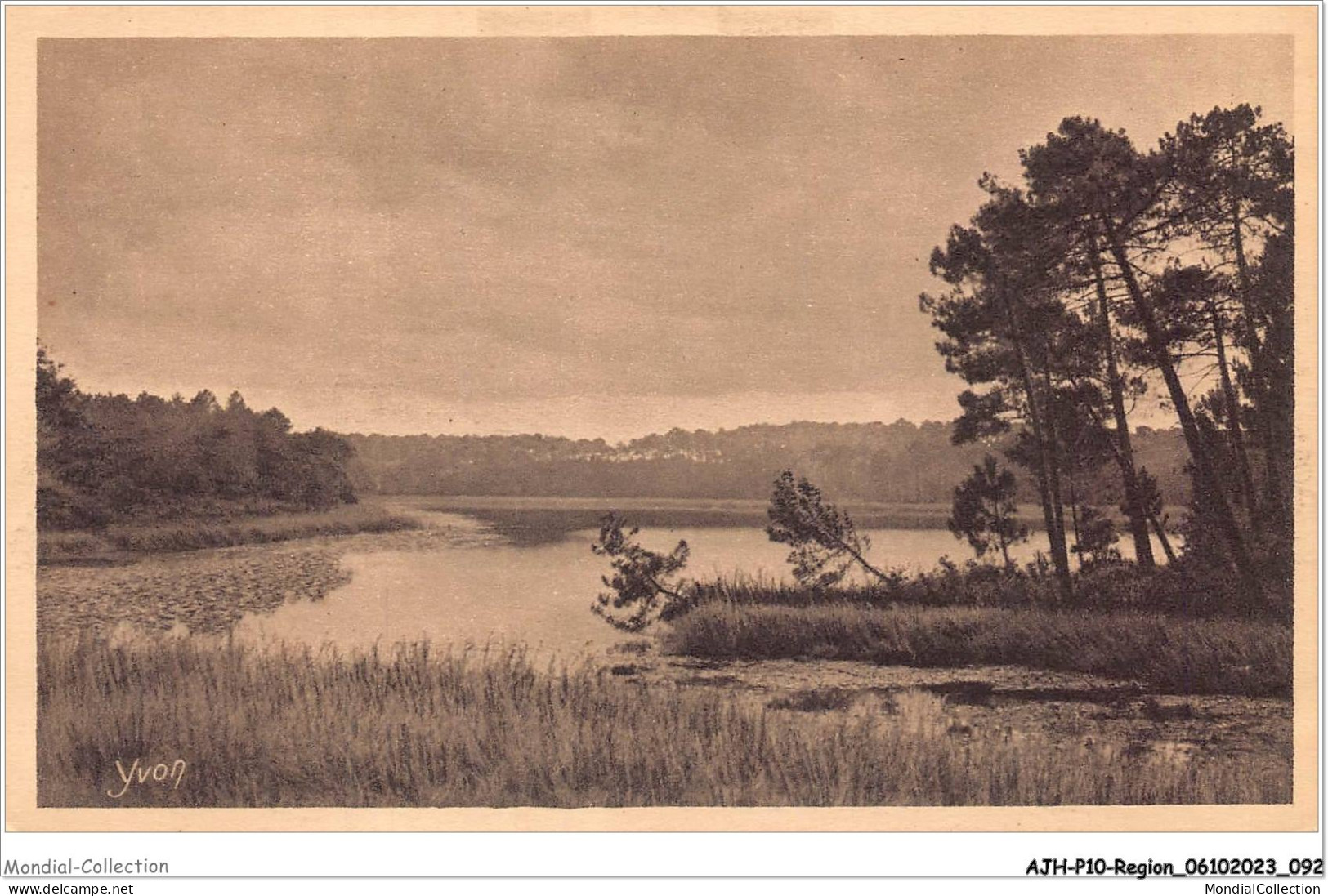 AJHP10-REGION-0848 - LES LANDES DE LA GASCOGNE - L'étang De Moliets - Aquitaine