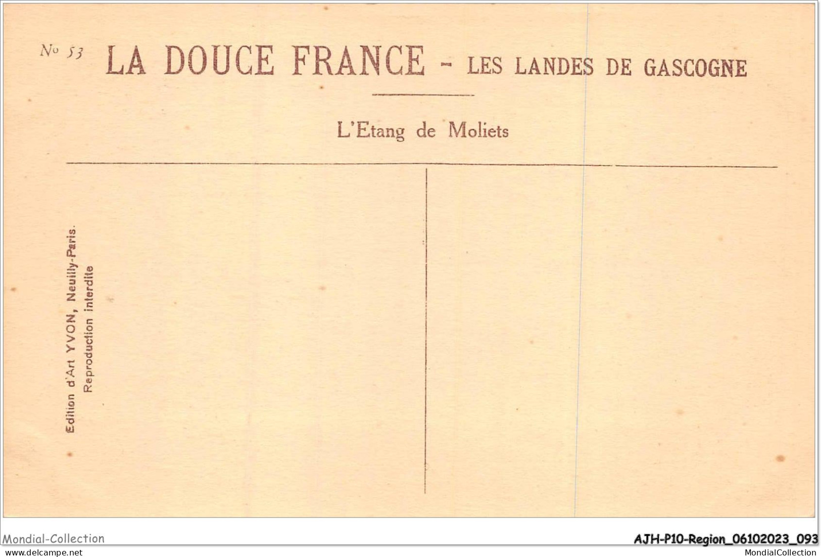 AJHP10-REGION-0848 - LES LANDES DE LA GASCOGNE - L'étang De Moliets - Aquitaine