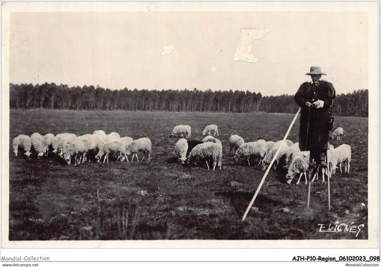 AJHP10-REGION-0851 - SOLEIL DES LANDES - Berger En Hiver - Aquitaine