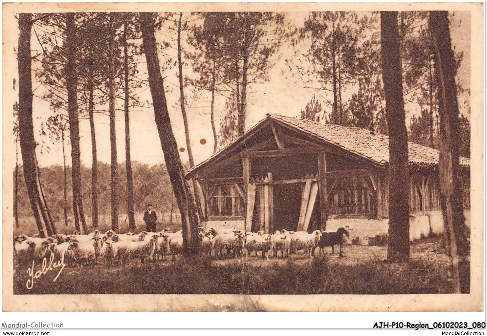 AJHP10-REGION-0842 - LES LANDES DE LA GASCOGNE - Une Bergerie - Aquitaine