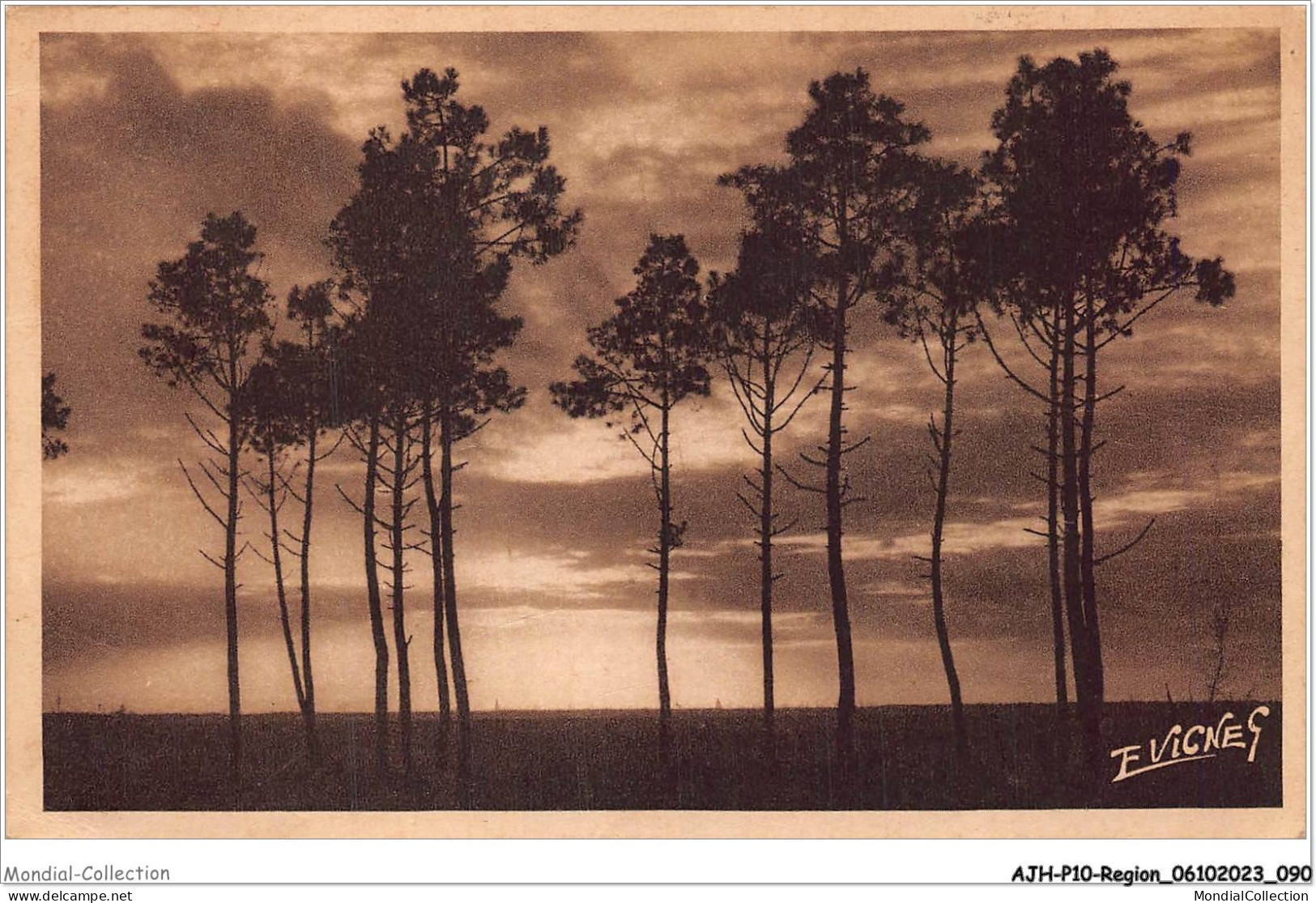 AJHP10-REGION-0847 - PAYSAGES LANDAIS - Le Soir Dans La Lande - Aquitaine