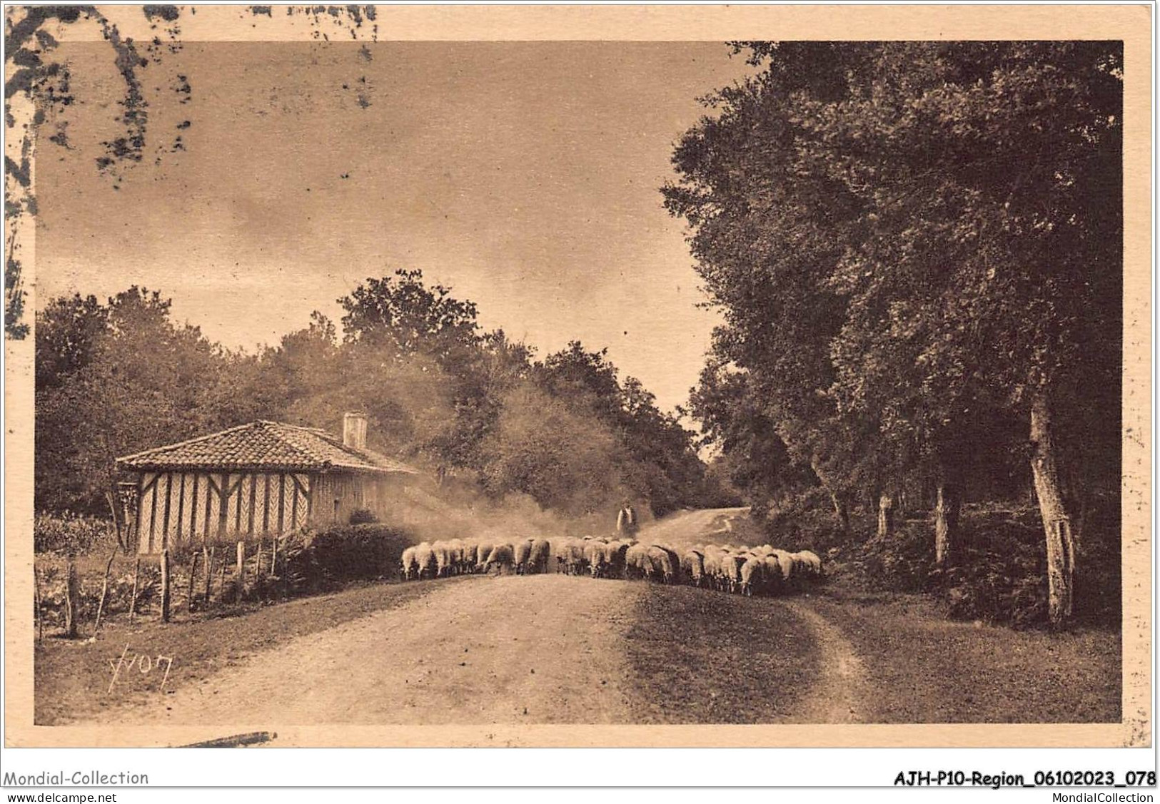 AJHP10-REGION-0841 - LES LANDES DE LA GASCOGNE - Troupeau De Mouton En Route Vers La Forêt - Aquitaine
