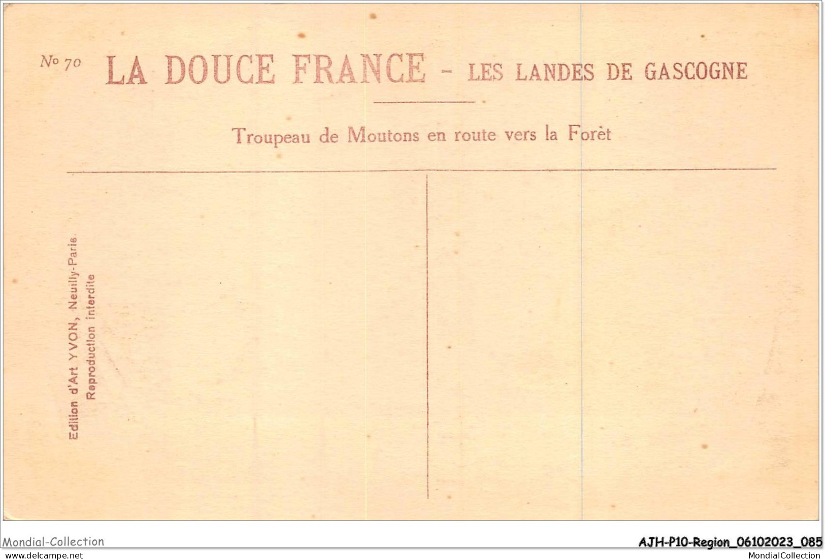 AJHP10-REGION-0844 - LES LANDES DE LA GASCOGNE - Troupeau De Mouton En Route Vers La Forêt - Aquitaine