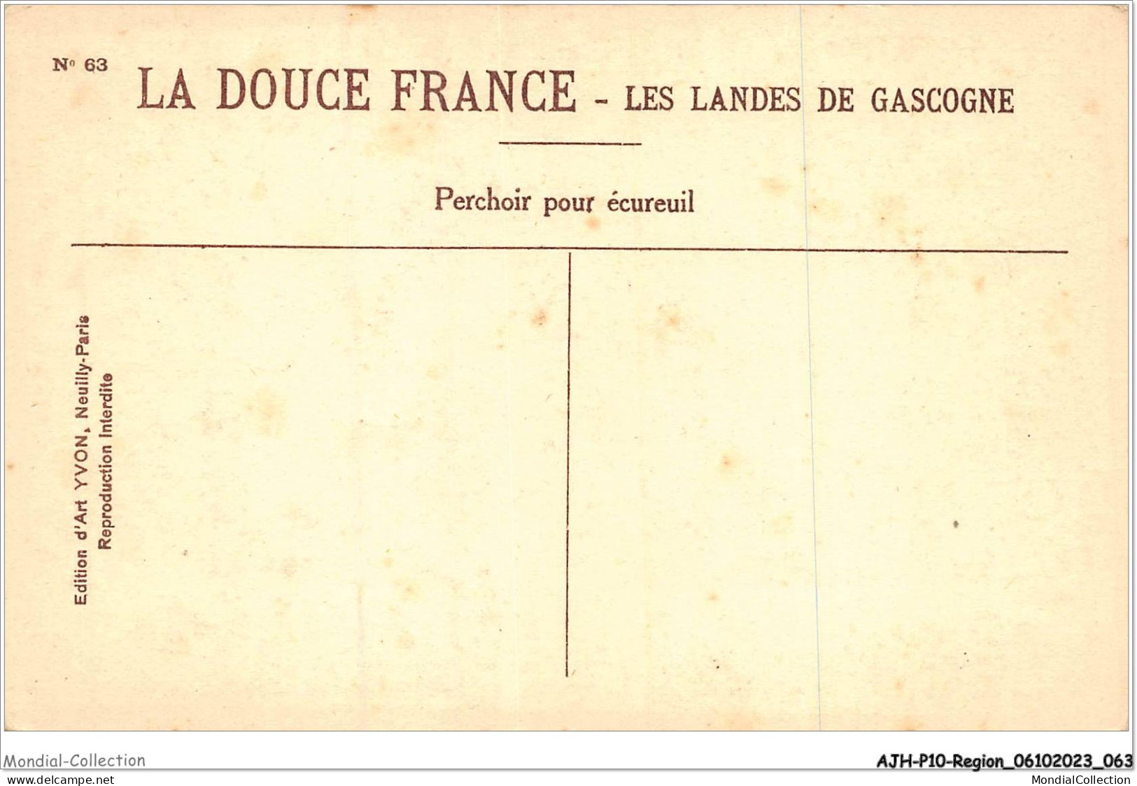 AJHP10-REGION-0833 - LES LANDES DE GASCOGNE - Perchoir Pour écureuil - Aquitaine