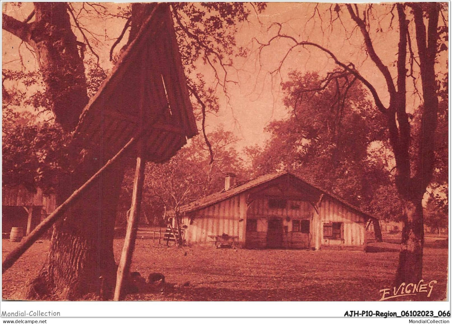 AJHP10-REGION-0835 - LES LANDES DE LA GASCOGNE - La Maison Landaise Et Son Poulailler - Aquitaine