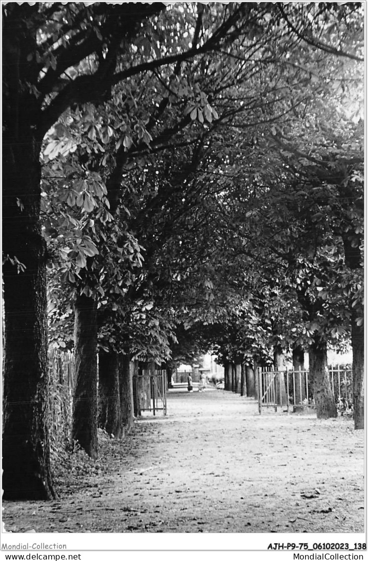 AJHP9-75-0750 - Hôpital Et Asile De Notre-dame-de-bon-secours - L'allée Des Marronniers - Salute, Ospedali