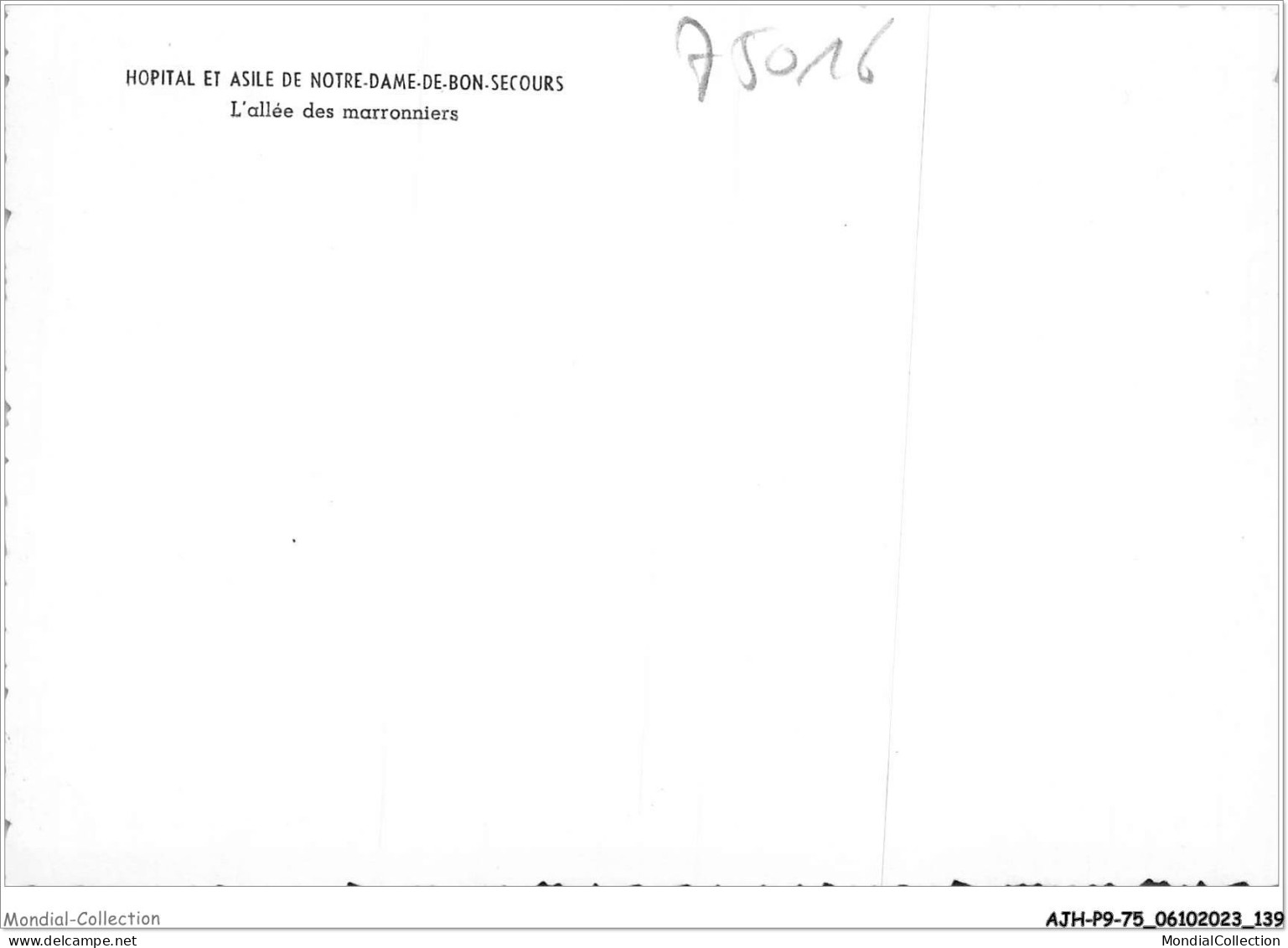 AJHP9-75-0750 - Hôpital Et Asile De Notre-dame-de-bon-secours - L'allée Des Marronniers - Gesundheit, Krankenhäuser