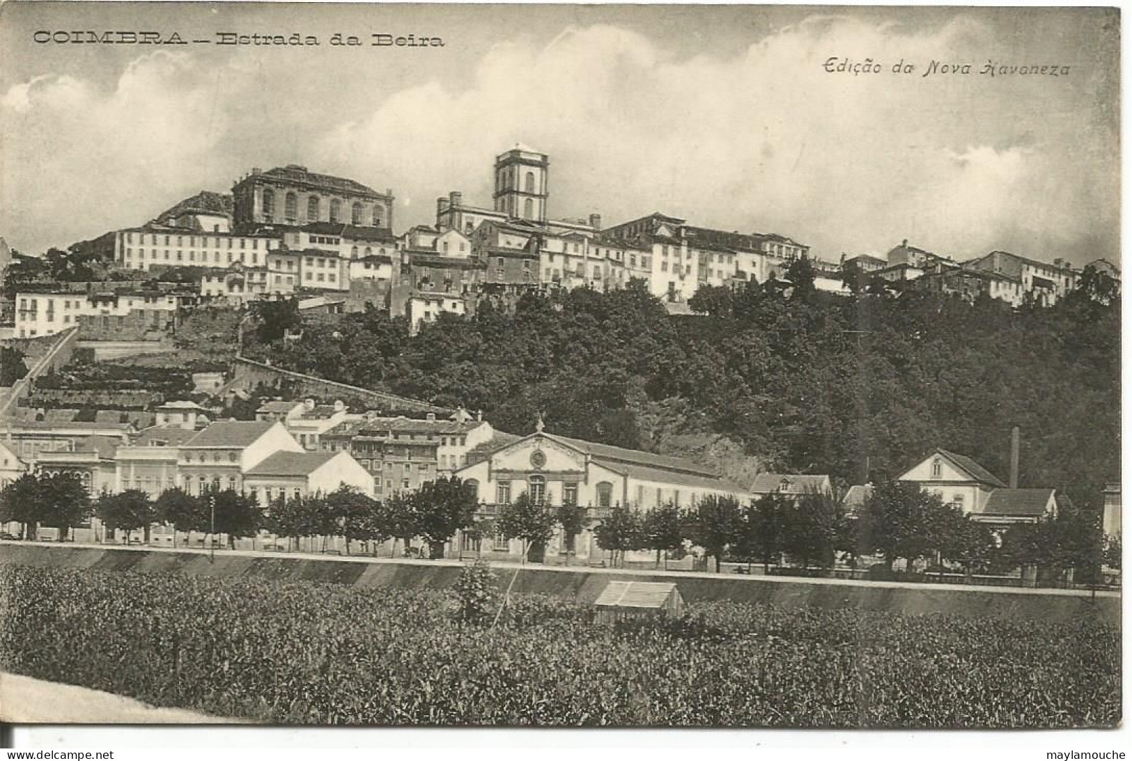 Coimbra ( Bt - Coimbra