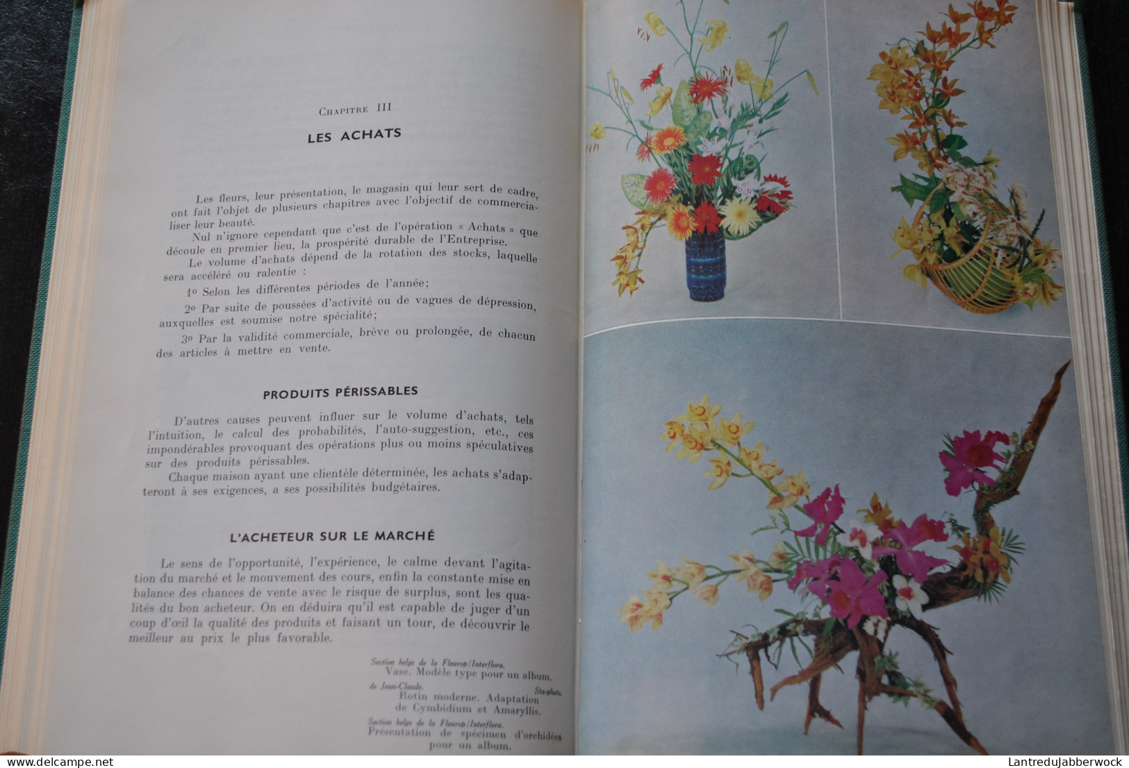 FROUTE Art floral et fleuristerie Bibliothèque d'horticulture pratique Baillière & Fils 1965 Fleuristes professionnels 