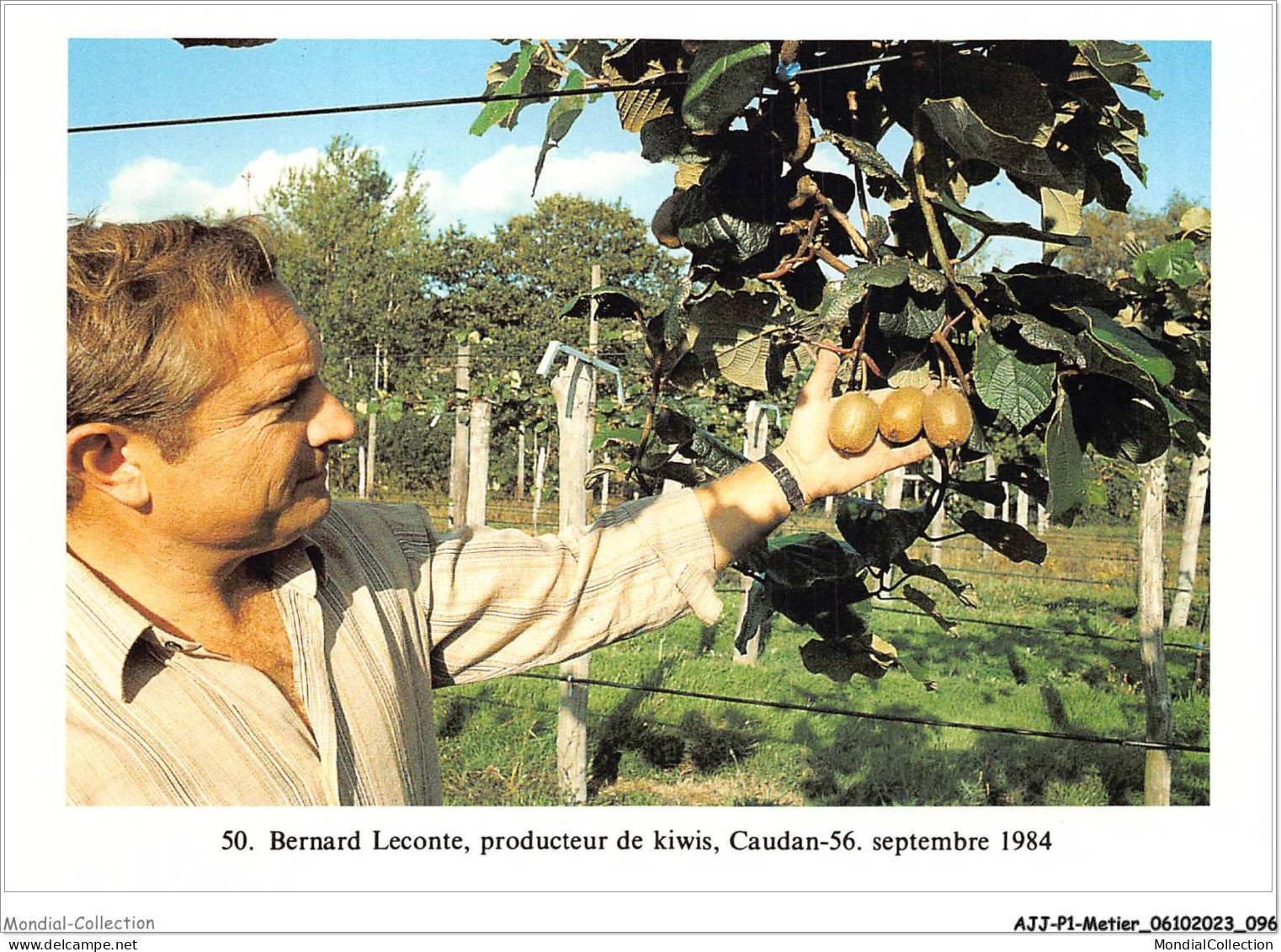 AJJP1-0049 - METIER - BERNARD LECONTE - PRODUCTEUR DE KIWIS - CAUDAN  - Paysans