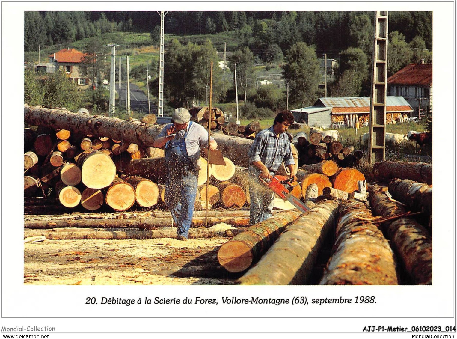 AJJP1-0008 - METIER - DEITAGE A LA SCIERIE DU FOREZ - VOLLORE-MONTAGNE - SEPTEMBRE 1988 - Industry