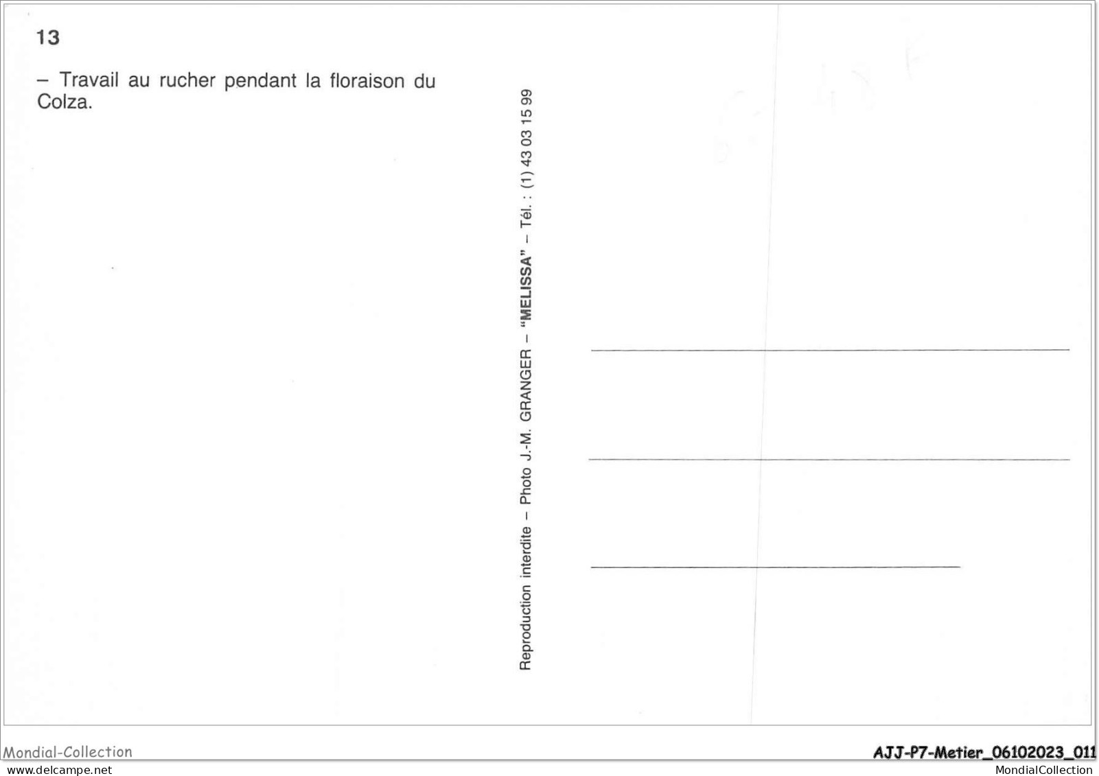 AJJP7-0613 - METIER - TRAVAIL AU RUCHER PENDANT LA FLORAISON DU COLZA  - Landbouwers