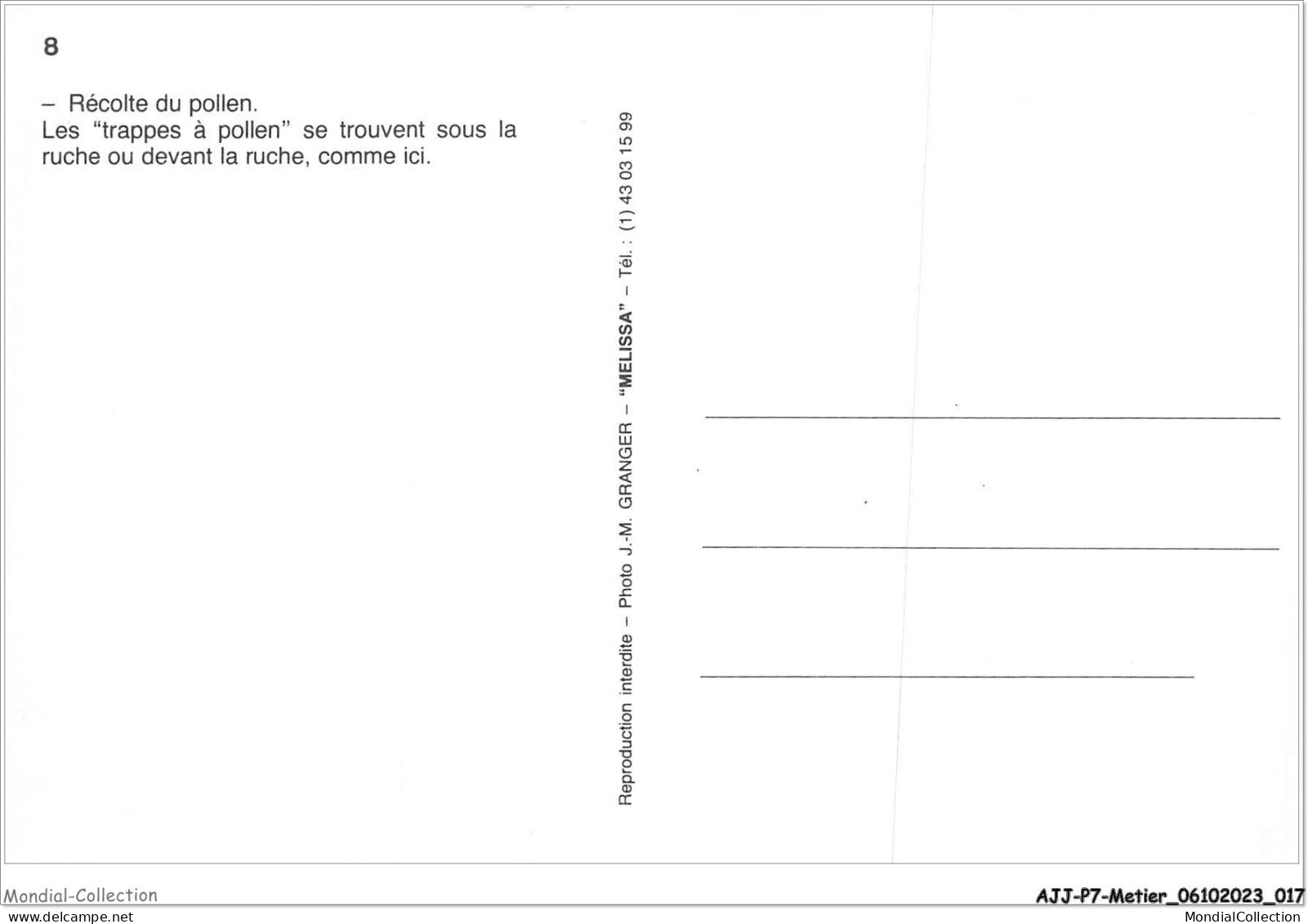 AJJP7-0616 - METIER - RECOLTE DU POLLEN - LES TRAPPES A POLLEN SE TROUVENT SOUS LA RUCHE OU DEVANT LA RUCHE  - Farmers