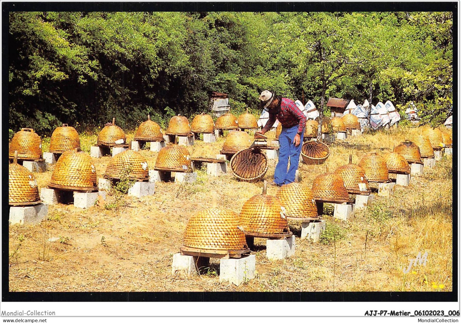 AJJP7-0611 - METIER - CHAOURCE RUCHER TRADITIONNEL COMPOSE UNIQUEMENT DE RUCHES EN PAILLE APICULTEUR - Industry