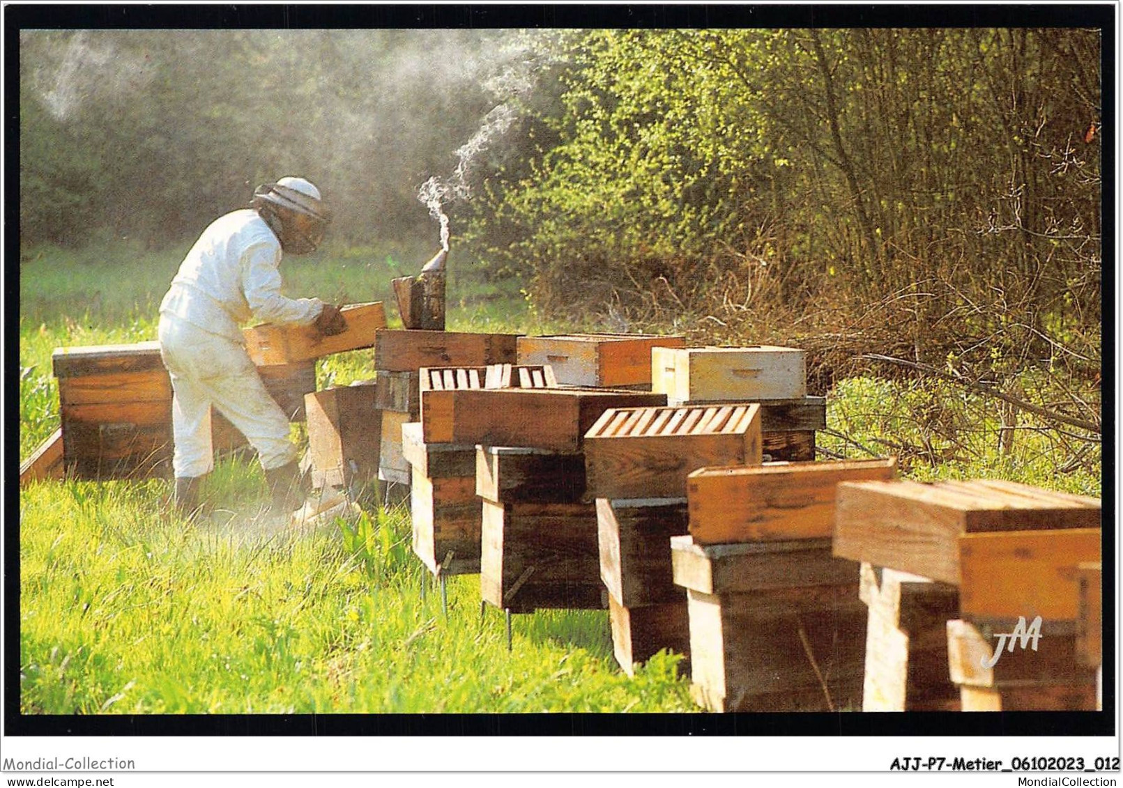 AJJP7-0614 - METIER - APICULTEUR POSANT DES HAUSSES AVANT LA 1ER MIELLEE DE PRINTEMPS - Farmers