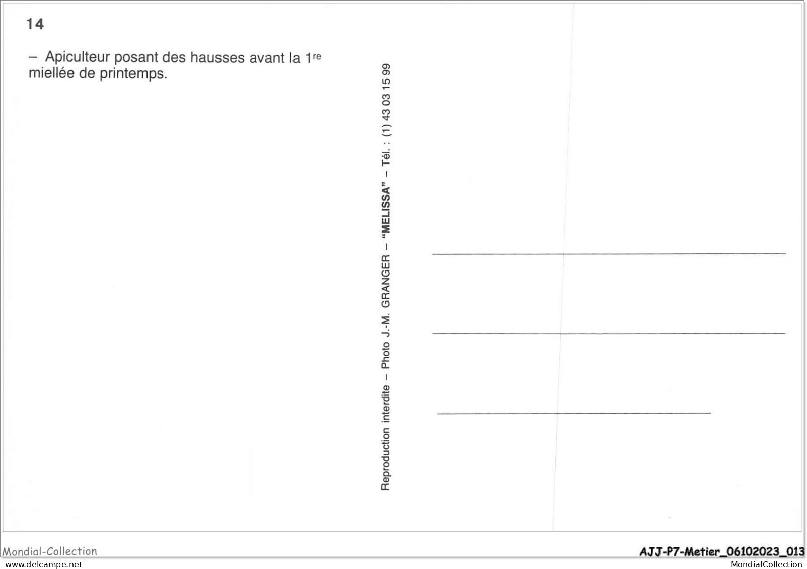 AJJP7-0614 - METIER - APICULTEUR POSANT DES HAUSSES AVANT LA 1ER MIELLEE DE PRINTEMPS - Farmers